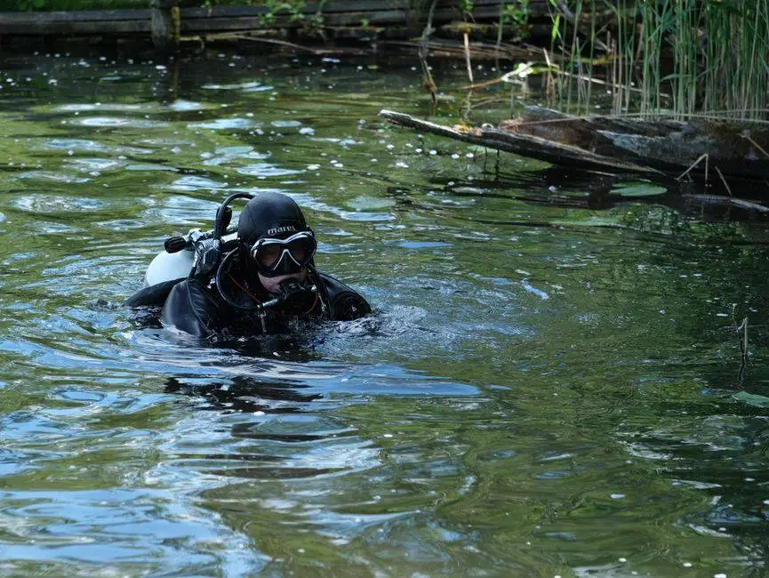 A scuba diver in full gear surfaces in a serene, green-tinted lake, surrounded by nature.